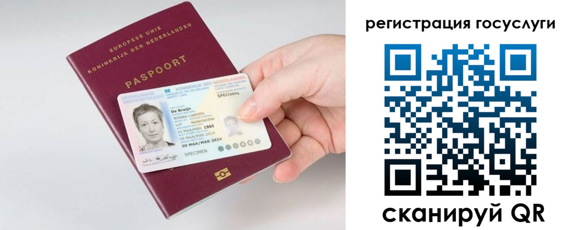 регистрация для дет. сада в Жигулёвске